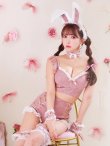 画像14: 【即日発送！】【ハロウィン】 総レースバニーフリルセットアップ【コスプレ7点セット】【XS-Lサイズ/3カラー】[YMT] (14)