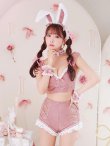 画像8: 【即日発送！】【ハロウィン】 総レースバニーフリルセットアップ【コスプレ7点セット】【XS-Lサイズ/3カラー】[YMT] (8)