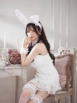 画像2: 【即日発送！】【ハロウィン】 総レースバニーミニマーメイドワンピ【コスプレ6点セット】【XS-Lサイズ/3カラー】[YMT] (2)