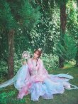 画像27: 【一部予約商品/8月下旬発送予定】【送料無料！】【ハロウィン】ピンク×ブルー花刺繍ロングシフォン漢服セット【コスプレ4点SET】【Fサイズ】[OF03]三上悠亜着用 (27)