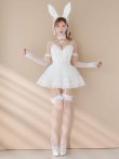 画像28: 【即日発送】【送料無料！】【マリームーンコラボ】【ハロウィン】2wayハーネスネックバニー【コスプレ6点セット】【XS-Lサイズ/3カラー】[OF04] (28)