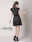 画像5: 【Andy ANDY Fashion Press 12 COLLECTION 02】フラワーレース/ リボンベルト風/ シアー/ ハイネック/ 台形スカート/ ミニドレス/ キャバドレス[OF05] (5)