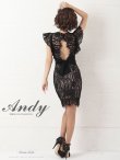 画像4: 【ANDY/アンディ】総レース/ リボンベルトデザイン/ フラワー刺繍/ Vネック/ タイト/ ワンピース/ キャバドレス[FB03] (4)