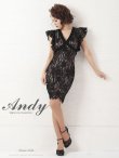 画像17: 【ANDY/アンディ】総レース/ リボンベルトデザイン/ フラワー刺繍/ Vネック/ タイト/ ワンピース/ キャバドレス[FB03] (17)