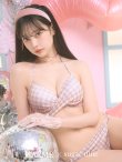 画像1: 【ビキニ】【水着】千鳥格子柄  バッククロスリボン クロスビキニ 2点セット[YMT] (1)