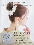 画像16: 【浴衣セール】ベージュ地x小花柄浴衣   OBI-siwa-200-kj-10-TRC / HIMO-900-yn-7-MOC / YA-1081-kj-IV /  HEKO-800-sb-3-BR / GETA-02-ok-2-IV [YMT] (16)