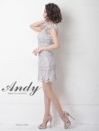 画像3: 【Andy ANDY Fashion Press 11 COLLECTION 07】フラワーレース/ シアー/ ハイネック/ 台形スカート/ ミニドレス/ キャバドレス[OF05] (3)