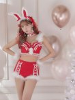 画像10: 【即日発送】【Malymoon x sugar コラボ】セットアップバニーサンタ【sugar nine サンタコス 8点セット】【S-Lサイズ/2カラー】[YMT] (10)
