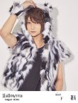 画像3: 【即日発送】SALE！メンズウルフ/アニマルコスプレセット【sugar nineハロウィン4点セット】【Fサイズ/1カラー】【YMT】 (3)