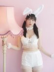 画像6: 【即日発送】【sugar nine×マリームーンコラボ】 セクシーレースバニーコスプレセット【sugar nineハロウィン7点セット】【S-Mサイズ/4カラー】[YMT] (6)