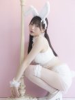 画像8: 【即日発送】【sugar nine×マリームーンコラボ】 セクシーレースバニーコスプレセット【sugar nineハロウィン7点セット】【S-Mサイズ/4カラー】[HC02] (8)