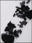 画像7: 【即日発送】【ソックス】花柄シアーソックス【1サイズ/3カラー】[OF08] (7)