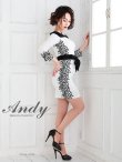 画像2: 【ANDY/アンディ】七分袖/ フラワーレース/ バイカラー/ タイト/ ミニドレス/ キャバドレス[OF05] (2)