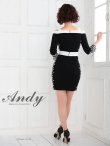 画像11: 【ANDY/アンディ】七分袖/ フラワーレース/ バイカラー/ タイト/ ミニドレス/ キャバドレス[OF05] (11)