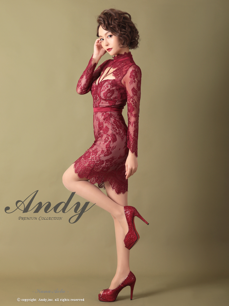 Andy ANDY Fashion Press 09 COLLECTION 07】 総レース / カットアウト