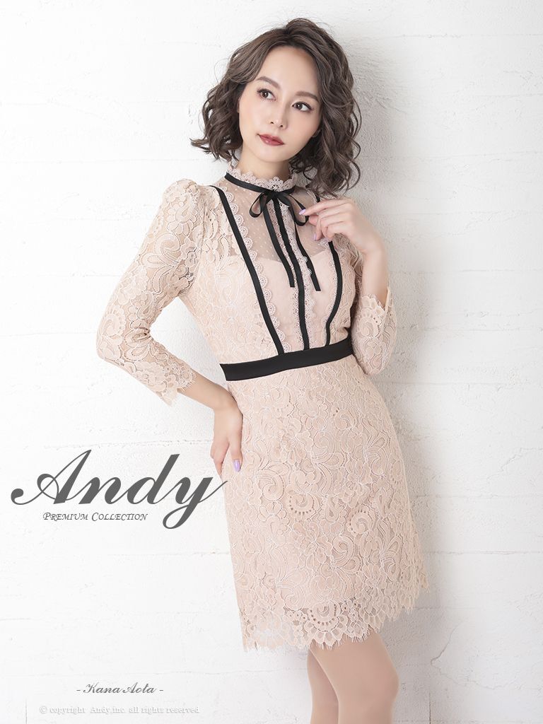 Andy ANDY Fashion Press 11 COLLECTION 05】総レース/ ドットレース ...