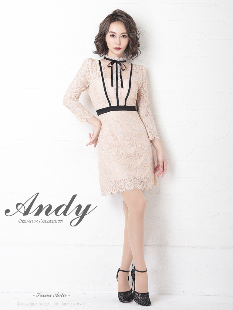 Andy ANDY Fashion Press 11 COLLECTION 05】総レース/ ドットレース