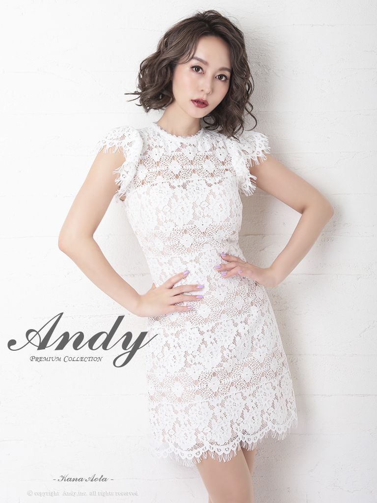 Andy ANDY Fashion Press 11 COLLECTION 07】フラワーレース/ シアー 
