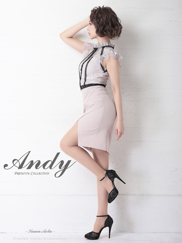 ANDY/アンディ】フラワーレース/ シアー/ 袖あり/ フリル