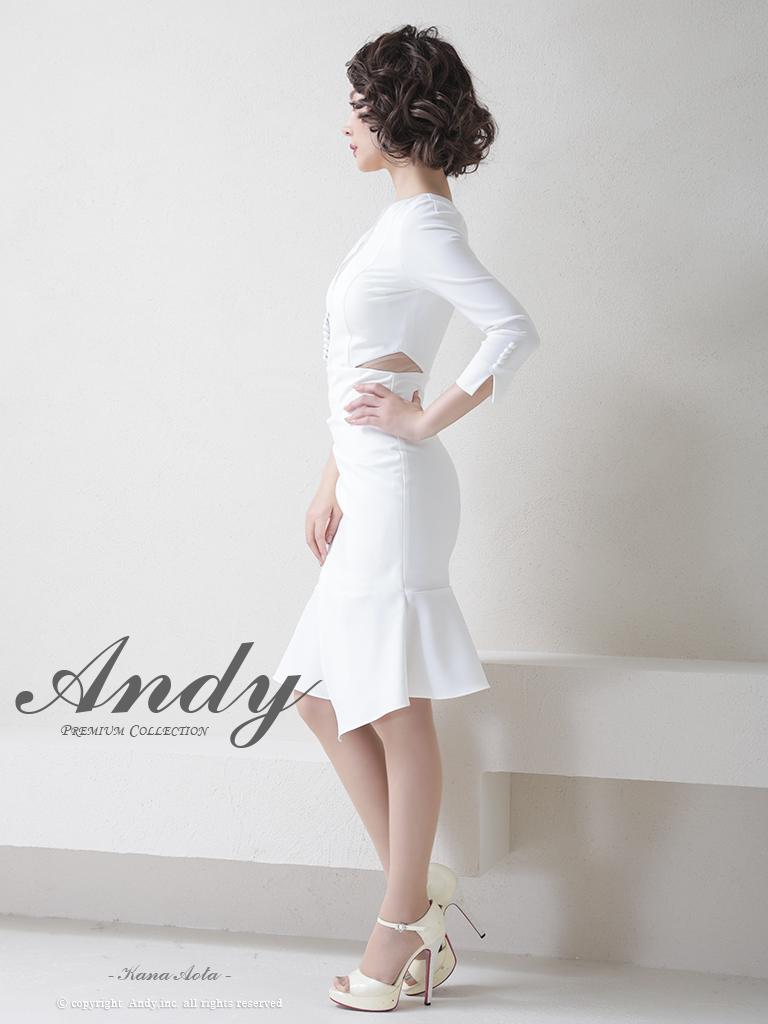 ♥️❤️お姫さま❤️専用♥️Andy アンディ ミディ丈ドレス♡